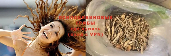 прущие грибы Арсеньев