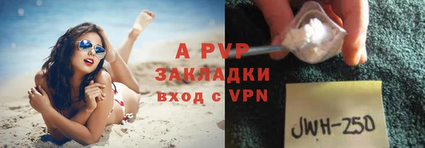 прущие грибы Арсеньев