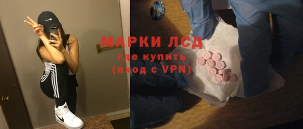 прущие грибы Арсеньев