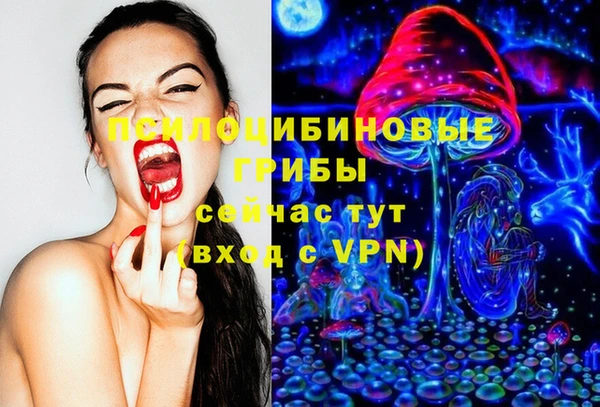прущие грибы Арсеньев